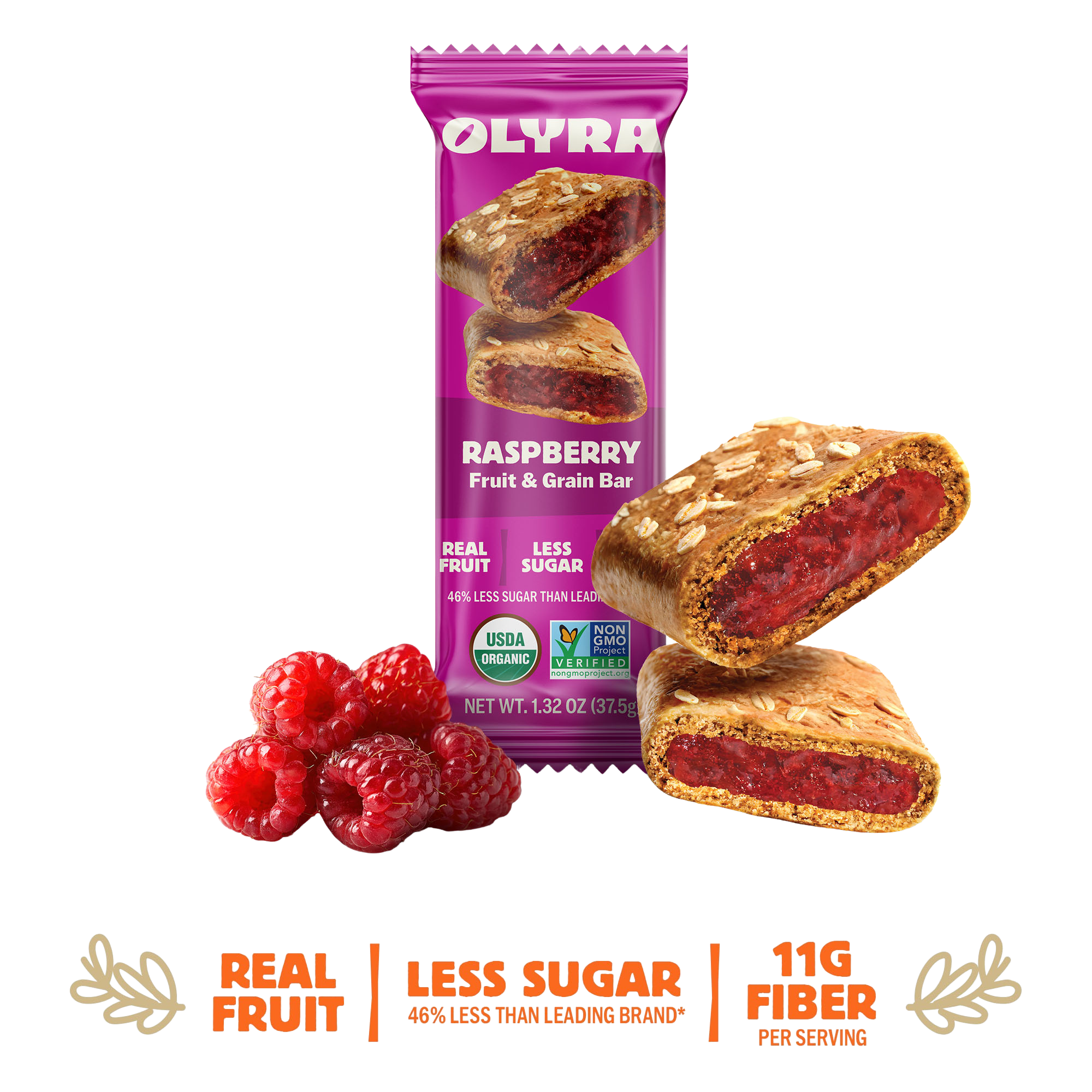Fig Bars- Raspberry