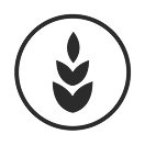 Ancient Green gains icon